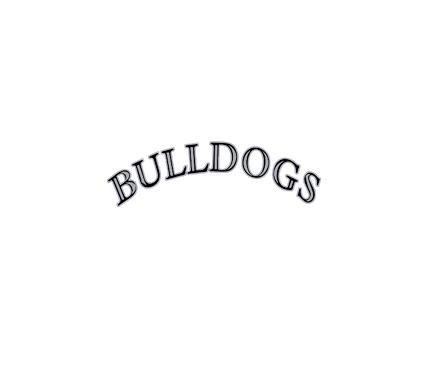 [CUS-STK-VC-3IN-LOGO1] Team Stickers (3in, Logo 1)