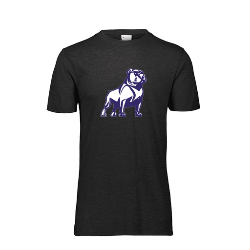 [FTSCUBBK-YS-LOGO2] Decker Youth Tri-Blend T-Shirt - Short Sleeve (Youth S, Black, Logo 2)